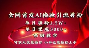 全网首发Ai换脸引流男粉，单日涨粉1.5w+，单日变现3000+，小白也能轻松上手拿结果【揭秘】-甬战资源库