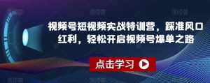 视频号短视频实战特训营，踩准风口红利，轻松开启视频号爆单之路-甬战资源库