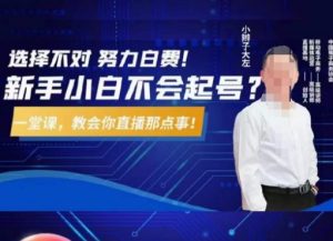 大左教您从0到1做直播带货，选择不对，努力白费，5小时课程搞定那点事，解决你起号问题-甬战资源库