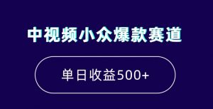 中视频小众爆款赛道，7天涨粉5万+，小白也能无脑操作，轻松月入上万【揭秘】-甬战资源库