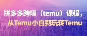拼多多跨境(temu)课程,从Temu小白到玩转Temu-甬战资源库