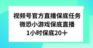 视频号直播任务，微恐小游戏，1小时20+【揭秘】-甬战资源库