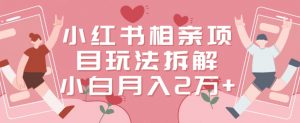 小红书相亲项目玩法拆解,有人通过这个副业项目做到了月收入2万多【揭秘】-甬战资源库