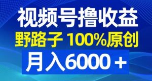 视频号野路子撸收益，100%原创，条条爆款，月入6000＋【揭秘】-甬战资源库