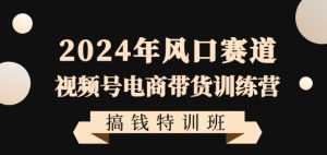 2024年风口赛道视频号电商带货训练营搞钱特训班,带领大家快速入局自媒体电商带货-甬战资源库