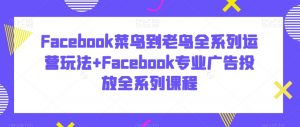 Facebook菜鸟到老鸟全系列运营玩法+Facebook专业广告投放全系列课程-甬战资源库