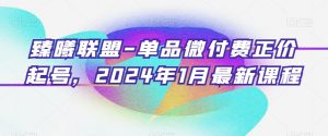 臻曦联盟-单品微付费正价起号，2024年1月最新课程-甬战资源库