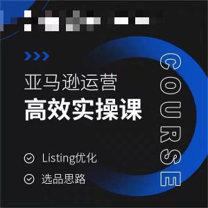 亚马逊运营高效实操课，Listing优化，选品思路-甬战资源库