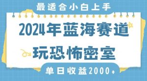 2024年蓝海赛道玩恐怖密室日入2000+，无需露脸，不要担心不会玩游戏，小白直接上手，保姆式教学【揭秘】-甬战资源库