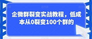 企微群裂变实战教程，低成本从0裂变100个群的-甬战资源库