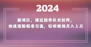 2024新项目,通过国外社交软件,快速涨粉精准引流,轻松做到月入上万【揭秘】-甬战资源库