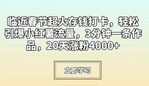 临近春节超火存钱打卡,轻松引爆小红薯流量,3分钟一条作品,20天涨粉4000+【揭秘】-甬战资源库