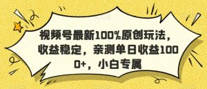 视频号最新100%原创玩法，收益稳定，亲测单日收益1000+，小白专属【揭秘】-甬战资源库
