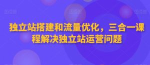 独立站搭建和流量优化，三合一课程解决独立站运营问题-甬战资源库