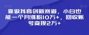 靠做抖音创新赛道，小白也能一个月涨粉10万+，回收账号变现2万+【揭秘】-甬战资源库