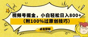 视频号掘金，小白轻松日入800+（附100%过原创技巧）【揭秘】-甬战资源库