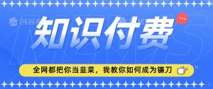 2024最新知识付费项目,小白也能轻松入局,全网都在教你做项目,我教你做镰刀【揭秘】-甬战资源库