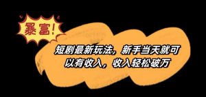 短剧最新玩法,新手当天就可以有收入,收入轻松破万【揭秘】-甬战资源库