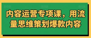 内容运营专项课，用流量思维策划爆款内容-甬战资源库