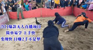 冷门爆款无人直播项目，简单易学上手快，变现快日赚2千不是梦【揭秘】-甬战资源库