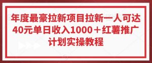 年度最豪拉新项目拉新一人可达40元单日收入1000＋红薯推广计划实操教程【揭秘】-甬战资源库