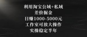 利用淘宝公域+私域差价掘金，日赚1000-5000元，工作室可放大操作，实操稳定半年【揭秘】-甬战资源库