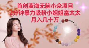 首创蓝海无脑小众项目，2分钟暴力吸粉小姐姐富太太，月入几十万【揭秘】-甬战资源库