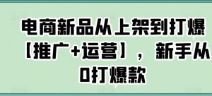 电商新品从上架到打爆【推广+运营】,新手从0打爆款-甬战资源库