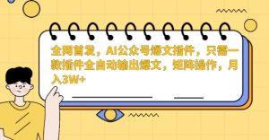 全网首发，AI公众号爆文插件，只需一款插件全自动输出爆文，矩阵操作，月入3W+【揭秘】-甬战资源库