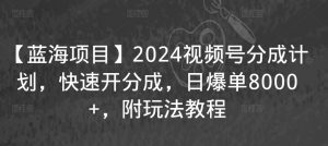 【蓝海项目】2024视频号分成计划，快速开分成，日爆单8000+，附玩法教程-甬战资源库