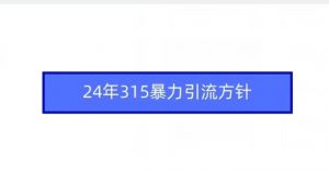 24年315暴力引流方针-甬战资源库
