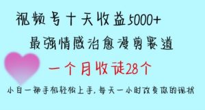十天收益5000+，多平台捞金，视频号情感治愈漫剪，一个月收徒28个，小白一部手机轻松上手【揭秘】-甬战资源库