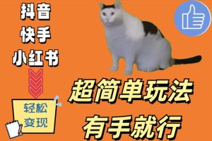 超简单玩法,有手就行,靠猫咪视频日入500+【揭秘】-甬战资源库
