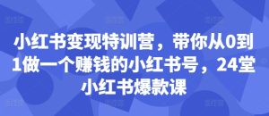 小红书变现特训营,带你从0到1做一个赚钱的小红书号,24堂小红书爆款课-甬战资源库