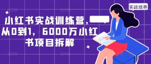 小红书实战训练营,从0到1,6000万小红书项目拆解-甬战资源库