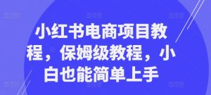 小红书电商项目教程,保姆级教程,小白也能简单上手-甬战资源库