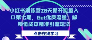 小红书训练营28天撕开流量入口第七期,Get优质流量,解锁低成本精准引流玩法-甬战资源库
