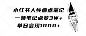 小红书人性痛点笔记,一条笔记点赞3W+,单日变现1k-甬战资源库