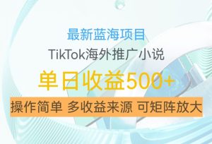 最新蓝海项目,利用tiktok海外推广小说赚钱佣金,简单易学,日入500+,可矩阵放大【揭秘】-甬战资源库