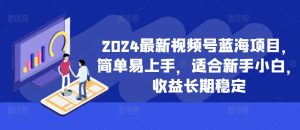 2024最新视频号蓝海项目，简单易上手，适合新手小白，收益长期稳定-甬战资源库