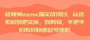 短视频meme猫实战项目,从选素材到把文案,到剪辑,手把手的教你快速起号涨粉-甬战资源库