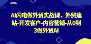 AI闪电做外贸实战课,外贸建站-开发客户-内容营销-从0到3做外贸AI(更新)-甬战资源库