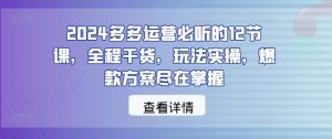 2024多多运营必听的12节课,全程干货,玩法实操,爆款方案尽在掌握-甬战资源库