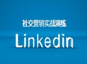 社交营销实战演练之Linkedin营销课程，B2B跨境外贸的新出路-甬战资源库