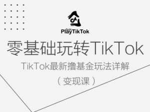 零基础玩转TiKToK变现课，TikTok最新撸基金玩法详解-甬战资源库