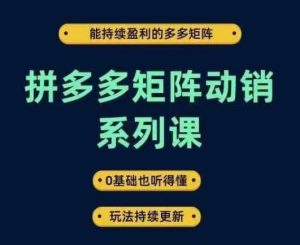 拼多多矩阵动销系列课，能持续盈利的多多矩阵，0基础也听得懂，玩法持续更新-甬战资源库