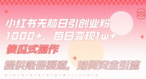 小红书无脑每日引流创业粉500+，小白每天只花半小时，躺赚长尾收益【揭秘】-甬战资源库