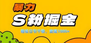 单人单机日引千粉，变现1k+，S粉流量掘金计划攻略【揭秘】-甬战资源库