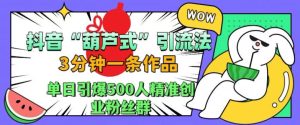 抖音葫芦式引流法，三分钟一条作品，单日引爆抖音500人精准创业粉丝群【揭秘】-甬战资源库