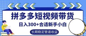 拼多多短视频带货日入300+有长期稳定被动收益，合适新手小白【揭秘】-甬战资源库